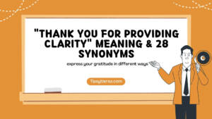 Thank You For Providing Clarity Meaning 28 Synonyms