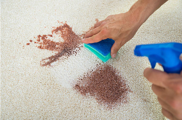 Screenshot 1 Carpet Stain Removal Experts | Hire Carpet Bright UK