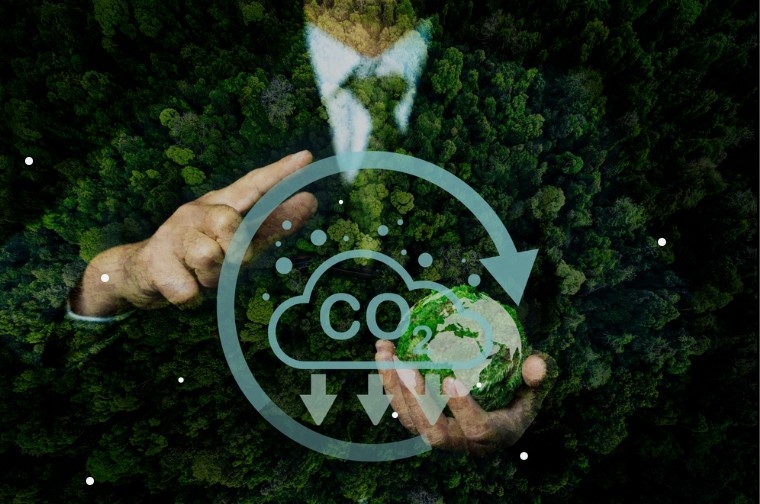 Screenshot 88 The Future of Energy: Adapting Power Grids and Certified Offsets