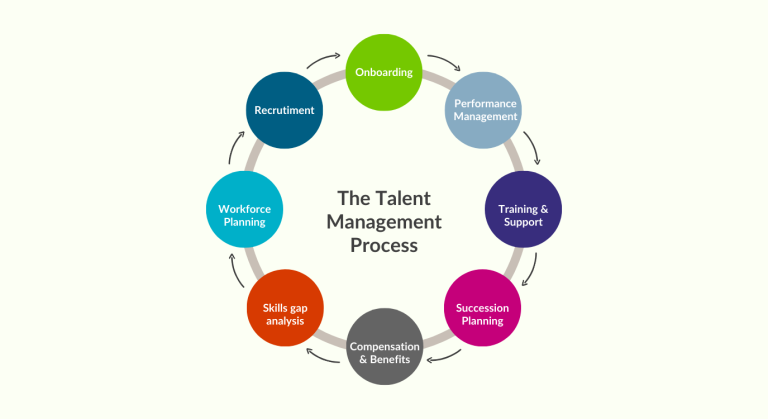 Talent Management Process Crafting a Robust Talent Management Strategy for Business Success
