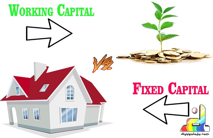 Difference Between Fixed and Working Capital 1 fixed and working capital Difference Between Fixed and Working Capital