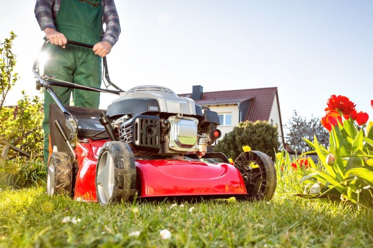 lawn mower in a sunny garden at spring time picture id1312139991 1 How Much Should One Expect to Pay for a Lawn Mower in Kenya: Prices & Cost Quotations