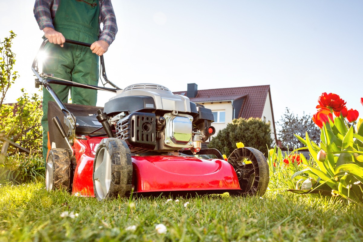 lawn mower in a sunny garden at spring time picture id1312139991 1 How Much Should One Expect to Pay for a Lawn Mower in Kenya: Prices & Cost Quotations