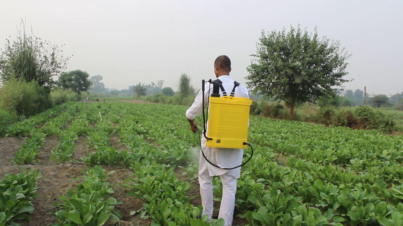 maxresdefault 2 Inflation on the Costs of Knapsack Sprayers: Understanding the Price Planning Process