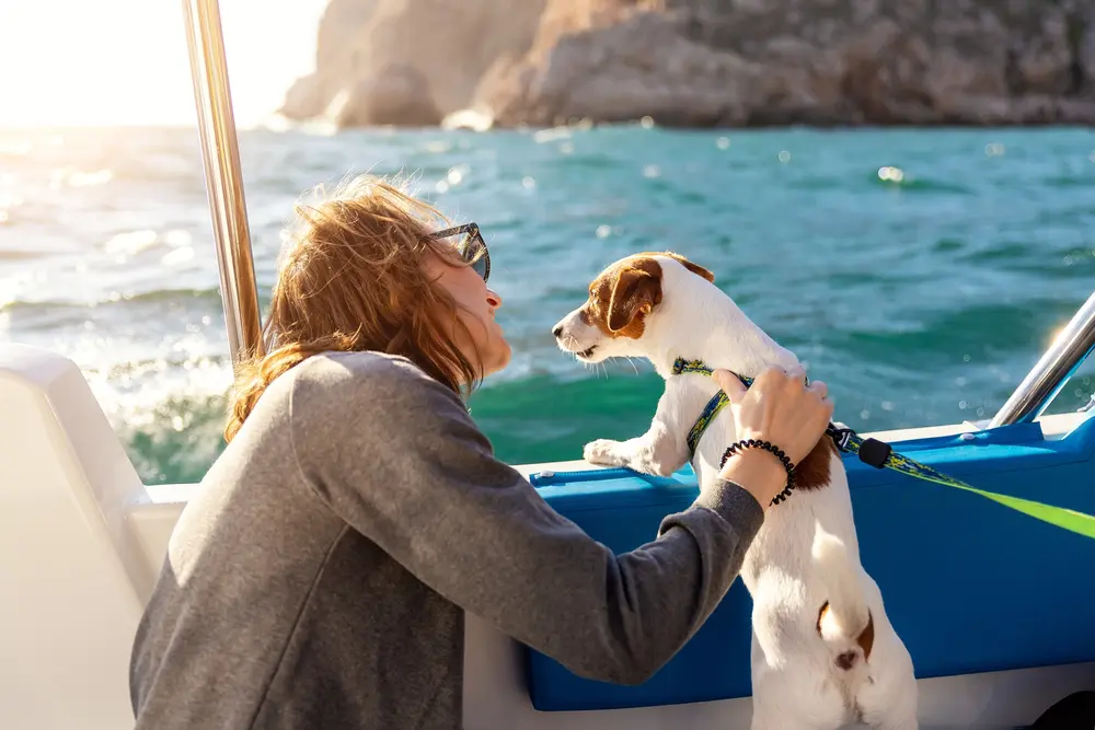shutterstock 2120542934 Yacht Chartering with Pets: What You Need to Know