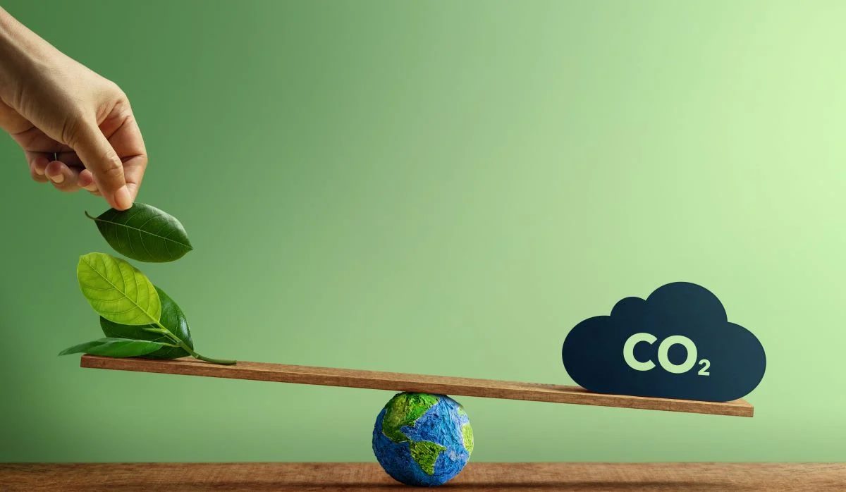 10 easy ways to reduce your carbon footprint The Impact of Thermal Insulation on Reducing Carbon Footprints