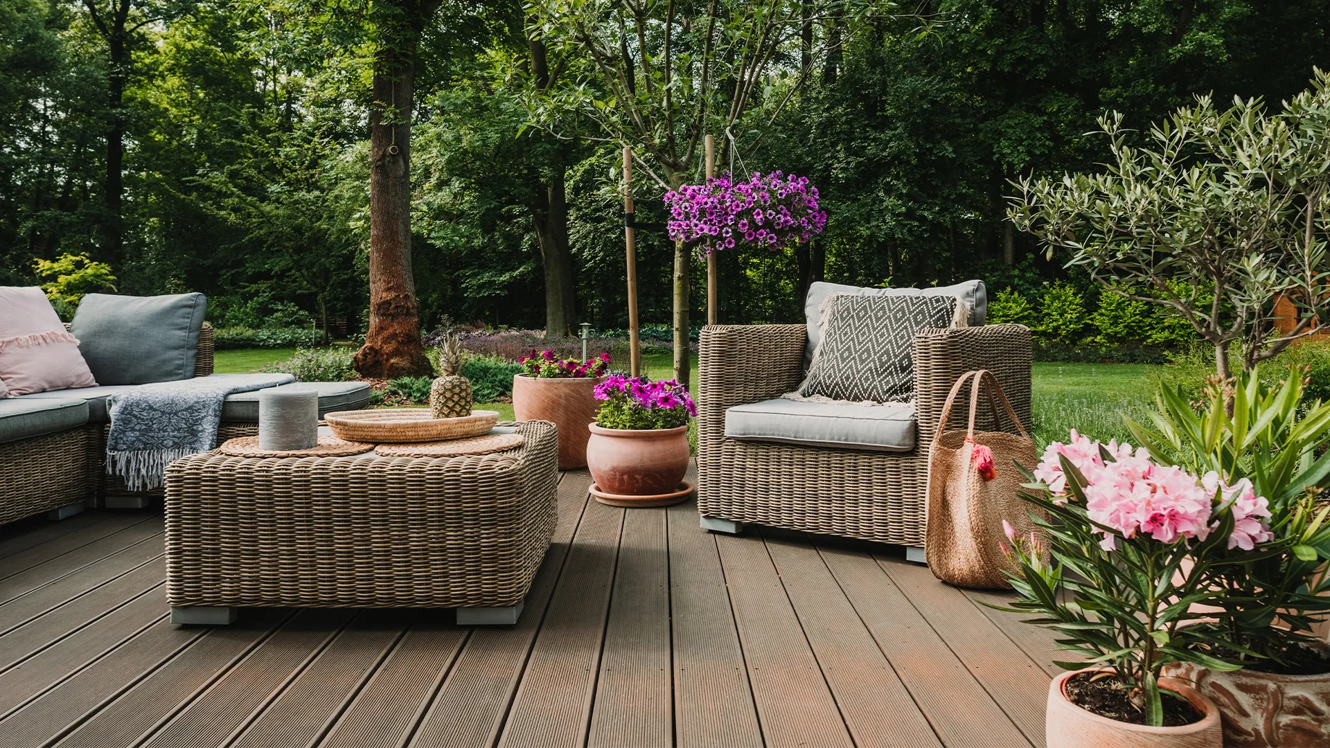 DT How to Beautify Your Yard How Can Mosquito Treatment Improve Outdoor Living Spaces?