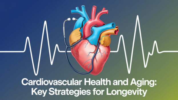Cardiovascular Health and Aging: Key Strategies for Longevity 1 Screenshot 172 Cardiovascular Health and Aging: Key Strategies for Longevity