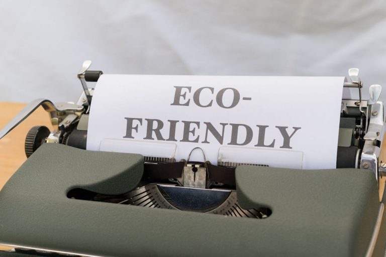 pexels markus winkler 1430818 18464985 How Can You Build an Eco-Friendly Small Business?