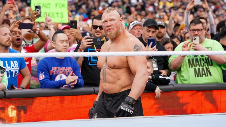 brock lesnar net worth
