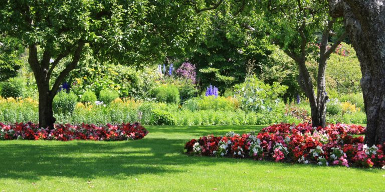 Depositphotos 11104897 xl 2015 scaled 2560x1280 1 Create a Beautiful Garden With These Efficient Gardening Tips