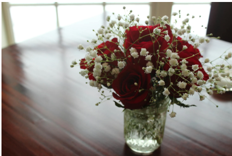 Screenshot 30 The Language of Flowers: How Blooms Convey Emotions in Iconic Films