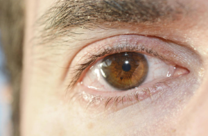 Screenshot 1458 Rethinking Eye Care: The Gentle Power of Eye Massage