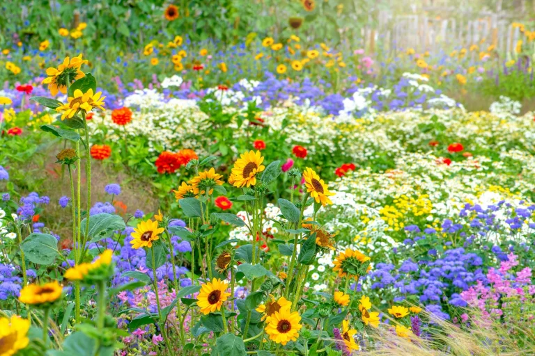 GettyImages 1168969757 What to Know Before Planting Wildflower Seed in Your Yard
