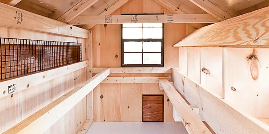 Header KeyFeaturesoftheBestHomesteadChickenCoops Essential Safety Features to Look for in Large Chicken Coops