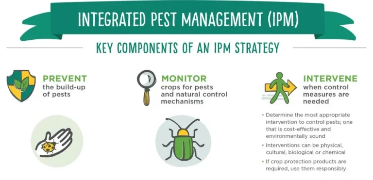 integrated pest management latsia cyprus eco friendly 1024x495 1 Inside Integrated Pest Control Strategies: A Holistic Approach to Prevention