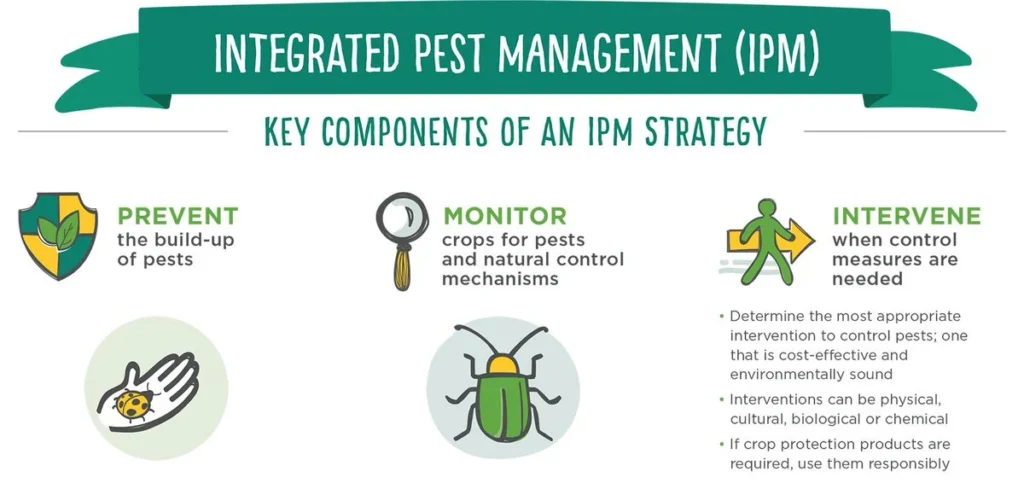 Inside Integrated Pest Control Strategies: A Holistic Approach to Prevention 1 integrated pest management latsia cyprus eco friendly 1024x495 1 Inside Integrated Pest Control Strategies: A Holistic Approach to Prevention
