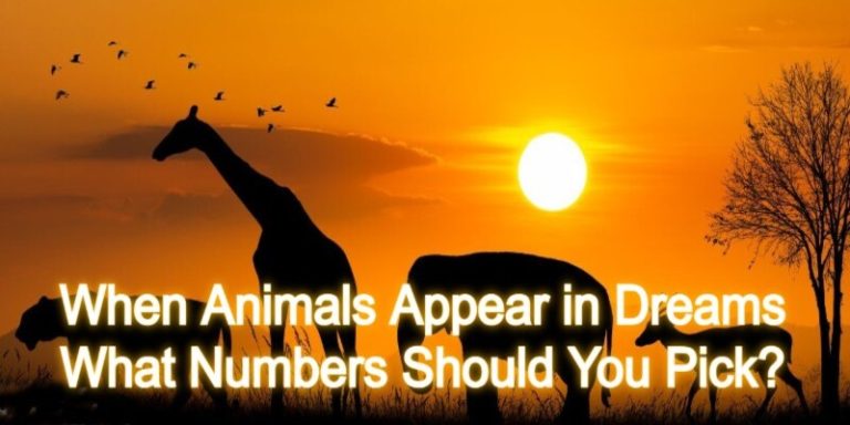 Animals Appear in Dreams When Animals Appear in Dreams: What Numbers Should You Pick?