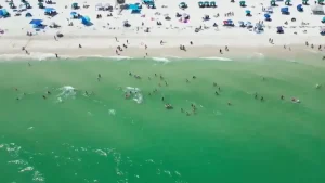 Shark Attacks Florida