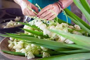 Flor de Izote: Embracing El Salvador National Flower with Culinary and Cultural Brilliance 3 flor de izote