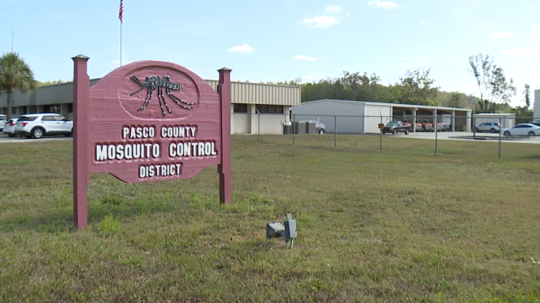 Dengue fever Pasco Florida 