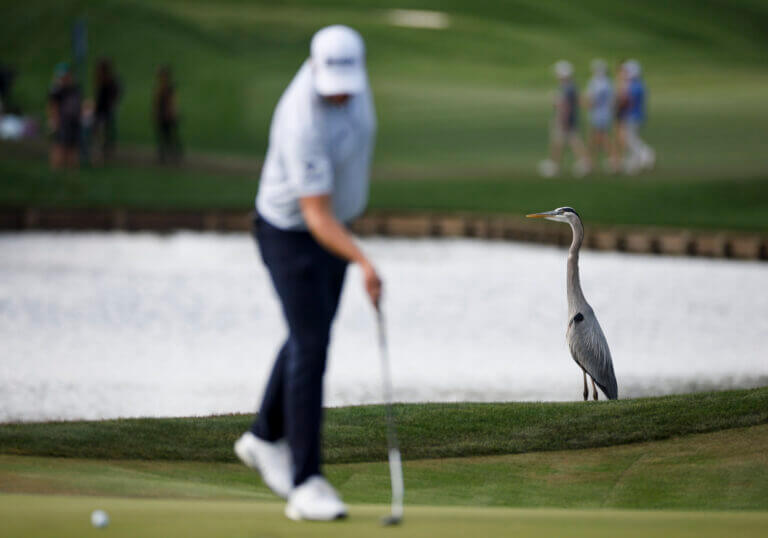 Florida State Parks Golf Courses