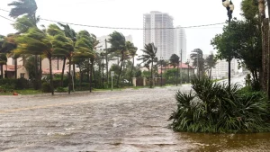 Hurricane Season in Florida: Complete 2025 Survival and Preparedness Guide 2 Hurricane Season in Floridas Hurricane Season in Florida: Complete 2025 Survival and Preparedness Guide