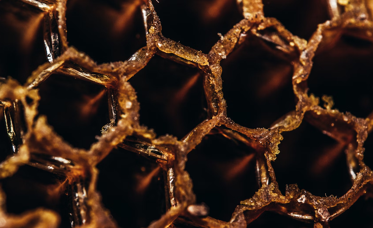 Screenshot 446 Honey Sticks vs Hemp Honey Sticks: What's the Difference?
