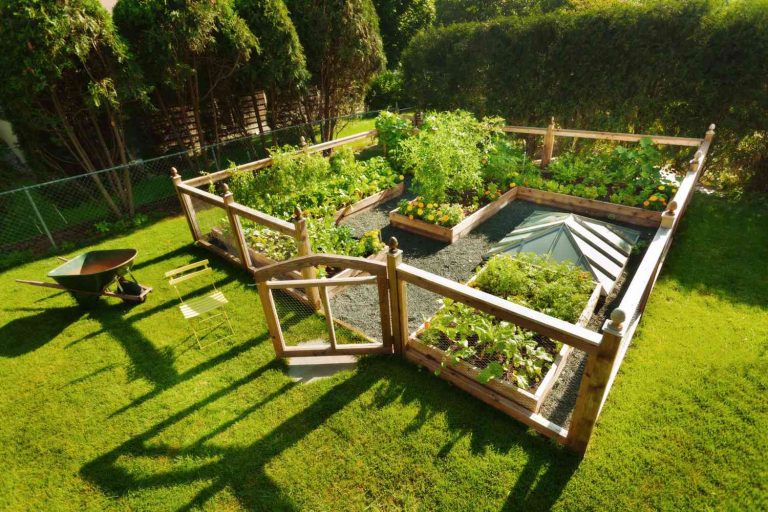fenced vegetable garden getty 0821 2000 867087080d8f49d6a00ba0e85f4aced9 From Buffet to Barrier: Smart Ways to Protect Your Yard from Hungry Visitors