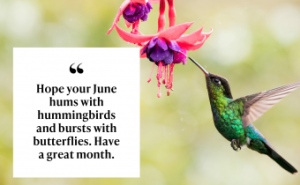 June Blessings Images: Welcoming the Month with Joy and Inspiration 8 June Blessings Images
