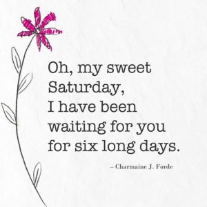 Saturday Funny Sayings to Brighten Your Weekend 4 Saturday Funny Sayings