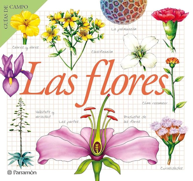 Las Flores