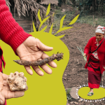 Aatreyee Dhar Arunachals women healers plants cover 1024x576 1 How Moisture Problems Feed Caldwell’s Pest Problem, According to 6 Brothers