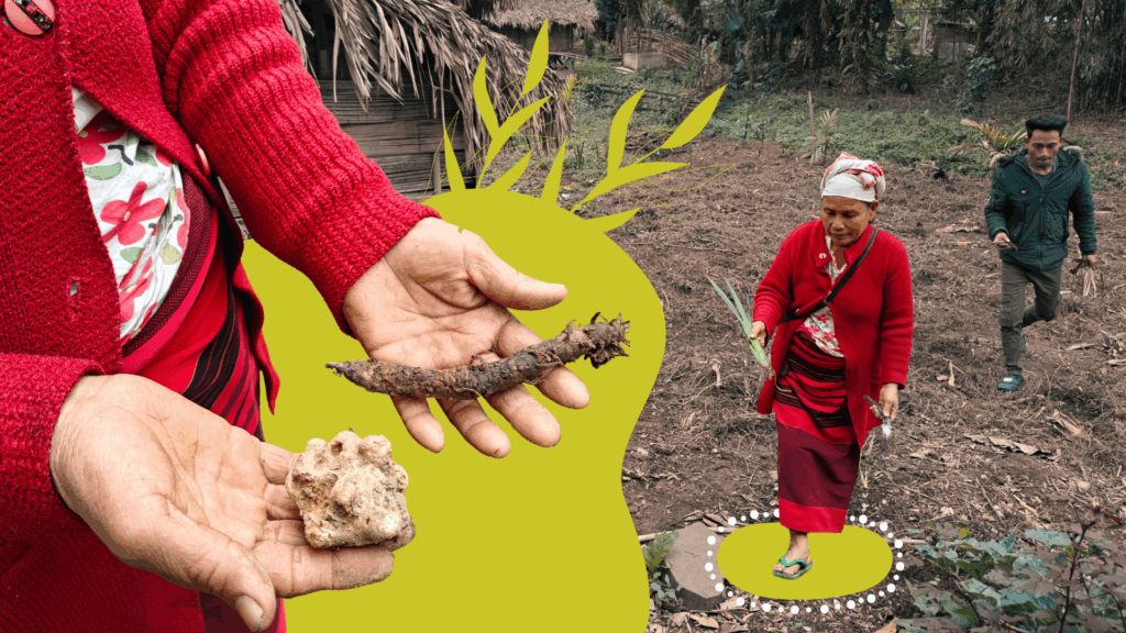 How Moisture Problems Feed Caldwell’s Pest Problem, According to 6 Brothers 1 Aatreyee Dhar Arunachals women healers plants cover 1024x576 1 How Moisture Problems Feed Caldwell’s Pest Problem, According to 6 Brothers