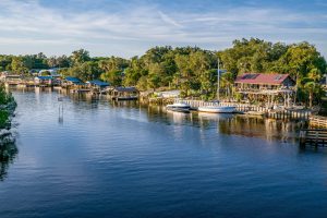 Steinhatchee Florida: Vibrant Coastal Gem of Old Florida Charm 3 Steinhatchee Florida