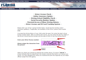 Check Driver License Status Florida