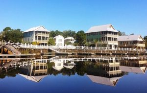 Steinhatchee Florida: Vibrant Coastal Gem of Old Florida Charm 4 Steinhatchee Florida