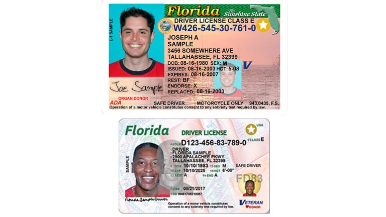 Check Driver License Status Florida: Empowering Drivers With Fast ...