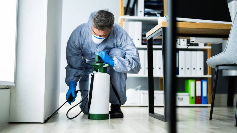 Why Is It Important to Stay Updated with Modern Pest Control Methods Beyond the Spray: Smarter Pest Control Solutions for Modern Homes
