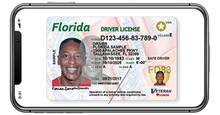 Check Driver License Status Florida