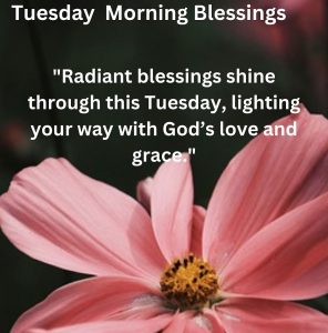 African American Tuesday Images