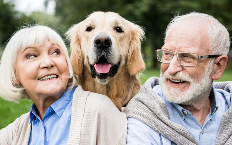 AELifeSite BLOG 0044 InteriorBlog Companionship in Retirement The Amazing Benefits of Pet Companionship for Seniors in Retirement