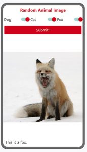 Random Animal Generator: Discover Exciting Wildlife with a Spin in 2025 4 Random Animal Generator