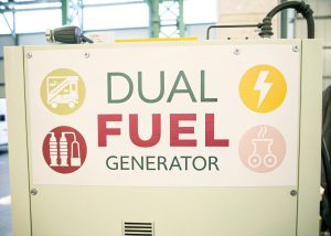 Dual Fuel Generator