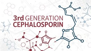 3rd Generation Cephalosporin 1  3rd Generation Cephalosporin: Powerful Weapons Against Evolving Bacterial Threats in 2025