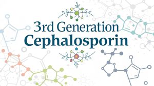 3rd Generation Cephalosporin  3rd Generation Cephalosporin: Powerful Weapons Against Evolving Bacterial Threats in 2025