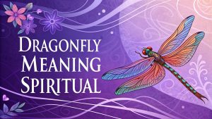 Dragonfly Meaning Spiritual: Unlock Joyful Transformation, Adaptability, and Eternal Wisdom in 2025 2 Dragonfly Meaning Spiritual2 Dragonfly Meaning Spiritual: Unlock Joyful Transformation, Adaptability, and Eternal Wisdom in 2025