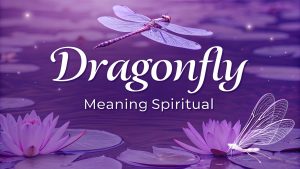 Dragonfly Meaning Spiritual: Unlock Joyful Transformation, Adaptability, and Eternal Wisdom in 2025 3 Dragonfly Meaning Spirituale4 Dragonfly Meaning Spiritual: Unlock Joyful Transformation, Adaptability, and Eternal Wisdom in 2025