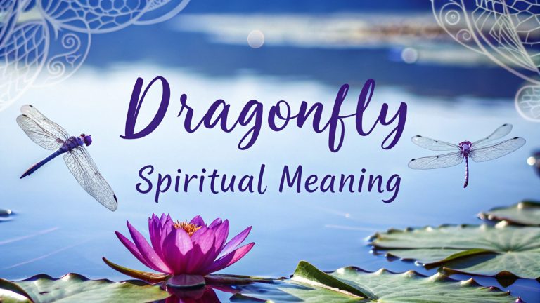 Dragonfly Spiritual Meaning Dragonfly Spiritual Meaning: Ignite Your Inner Metamorphosis and Celestial Harmony in 2025