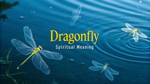 Dragonfly Spiritual Meaningq Dragonfly Spiritual Meaning: Ignite Your Inner Metamorphosis and Celestial Harmony in 2025